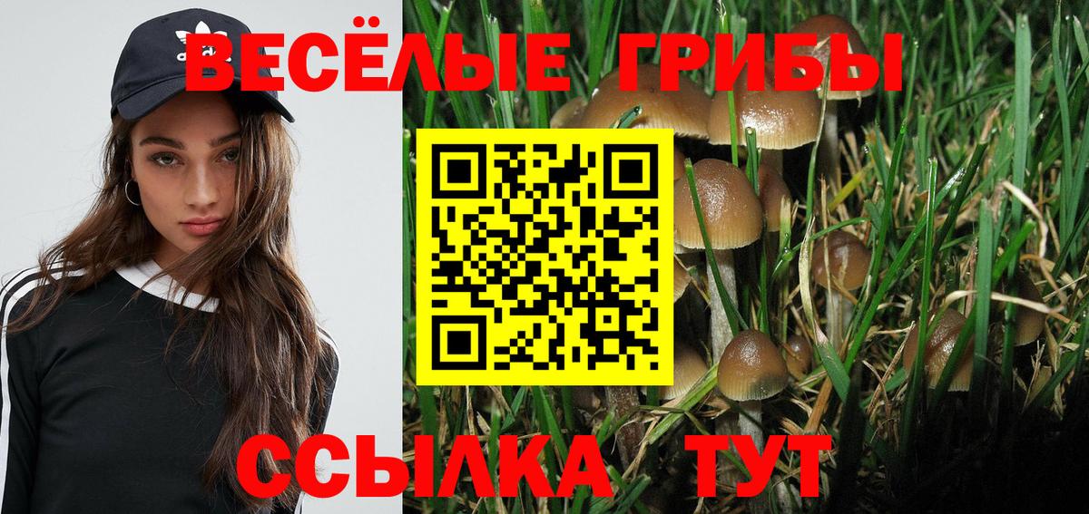 Галлюциногенные грибы Cubensis Обнинск