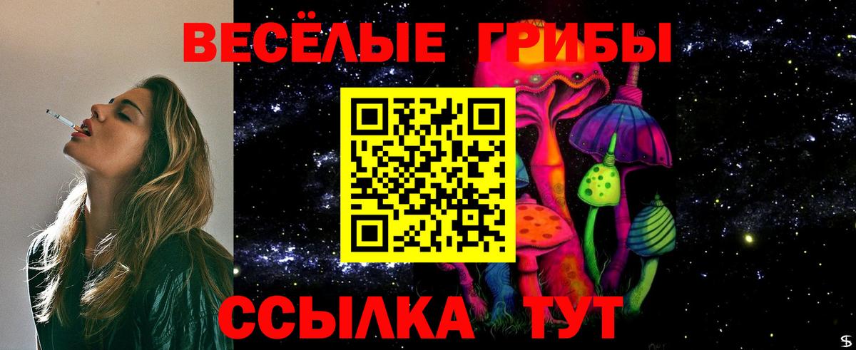 Обнинск  Псилоцибиновые грибы Cubensis  Вход с VPN 